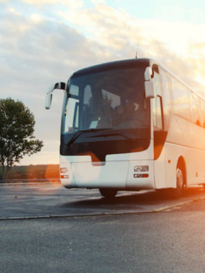 Buses